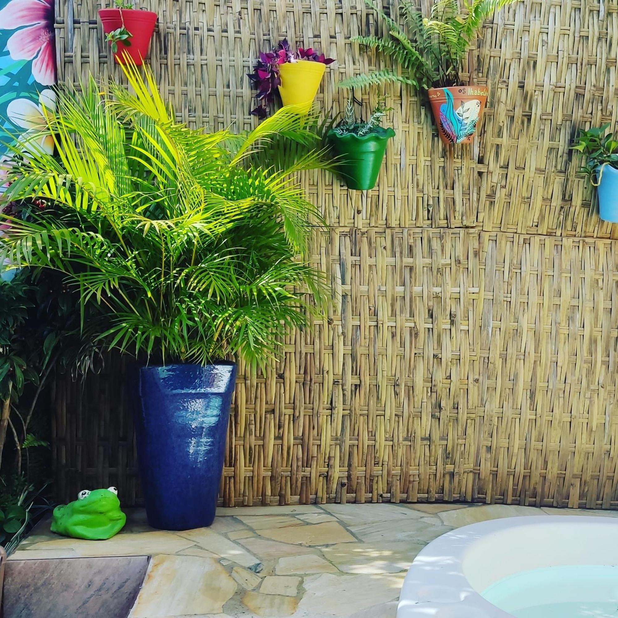 Recanto Toca Plantas De Ii * Ilhabela